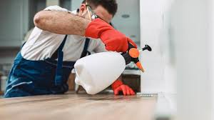 Best Pest Control for Multi-Family Homes  in Logansport, LA